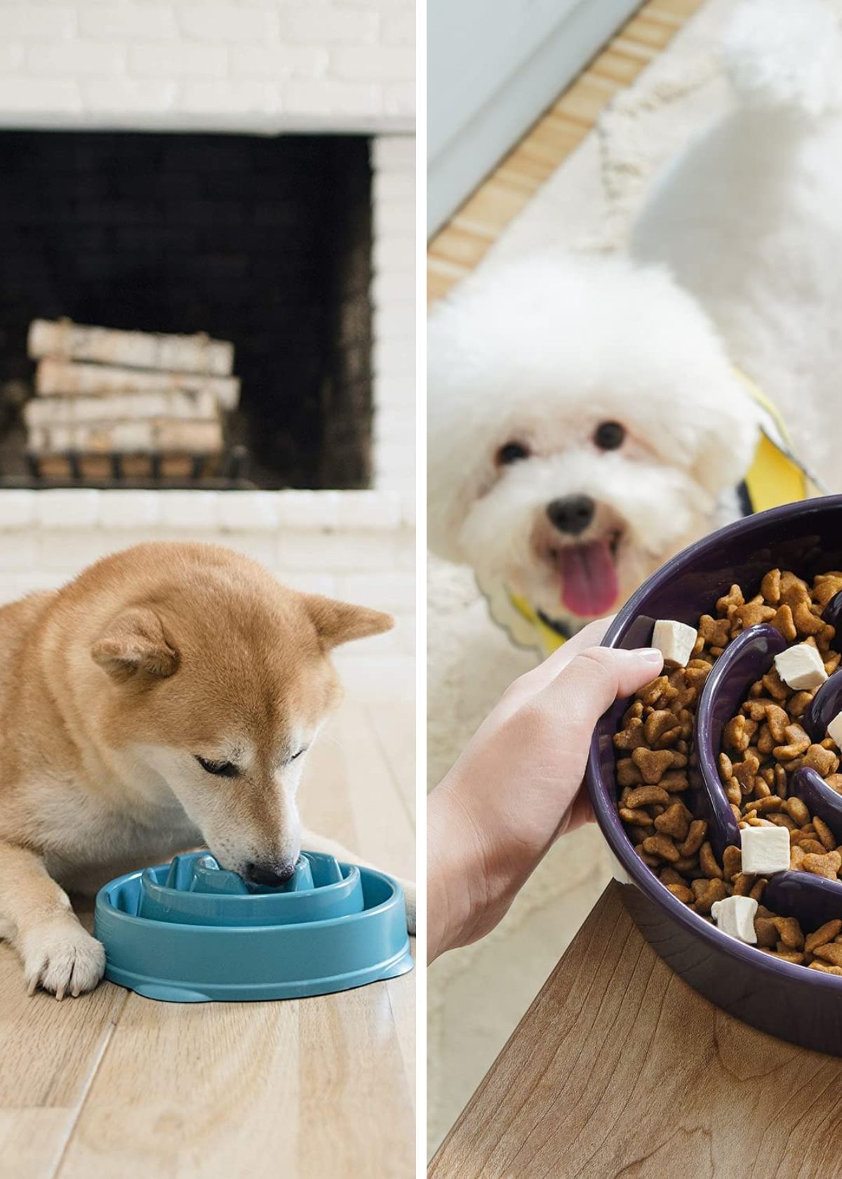 The 5 Best Slow Feeder Dog Bowls That Hundreds Of Dog Owners Already