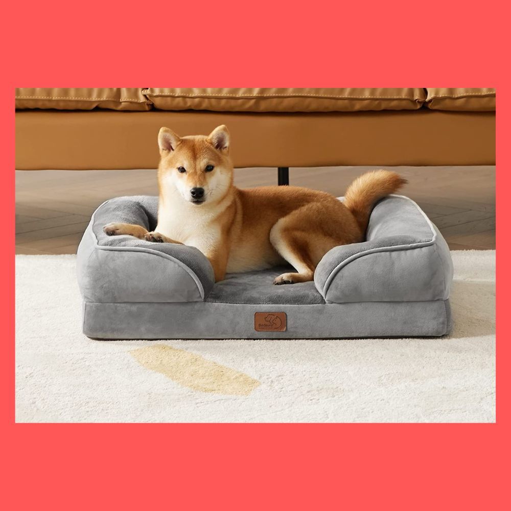 How To Keep Your Pooch Warm And Cozy With The Best Outdoor Dog Beds!