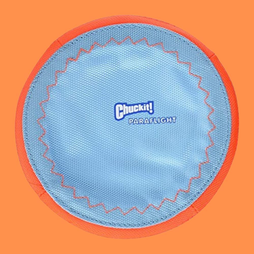 How To Choose the Best Dog Frisbee For Your Pet!