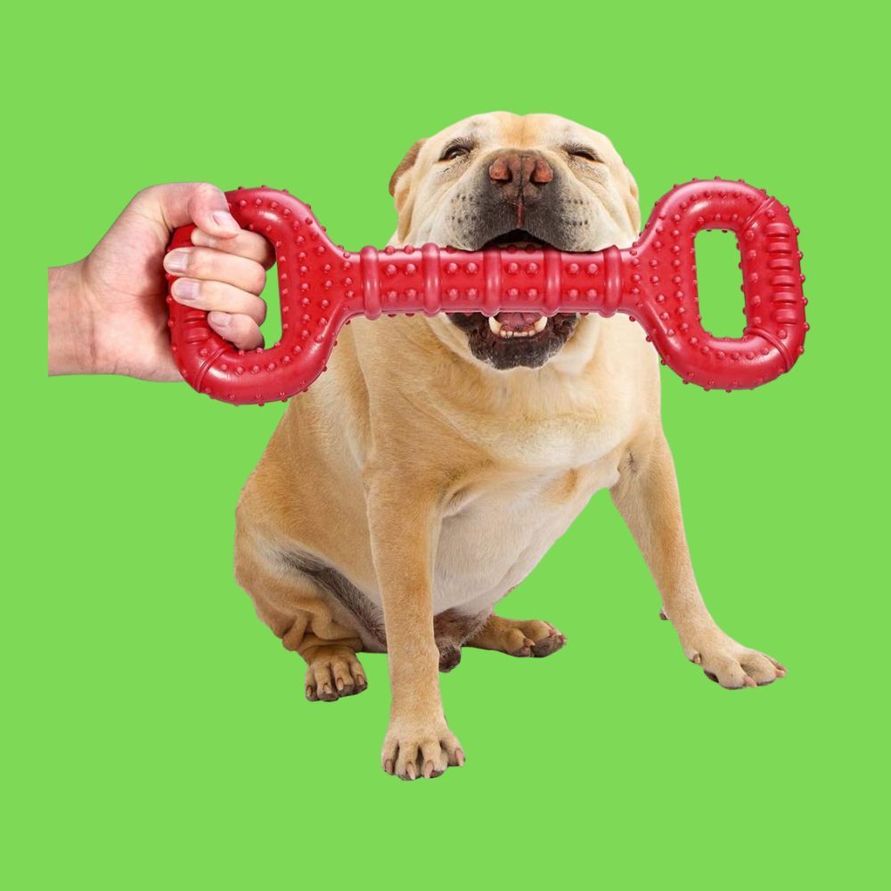 Tug of Woof Finding the Best Tug Toy For Dogs!