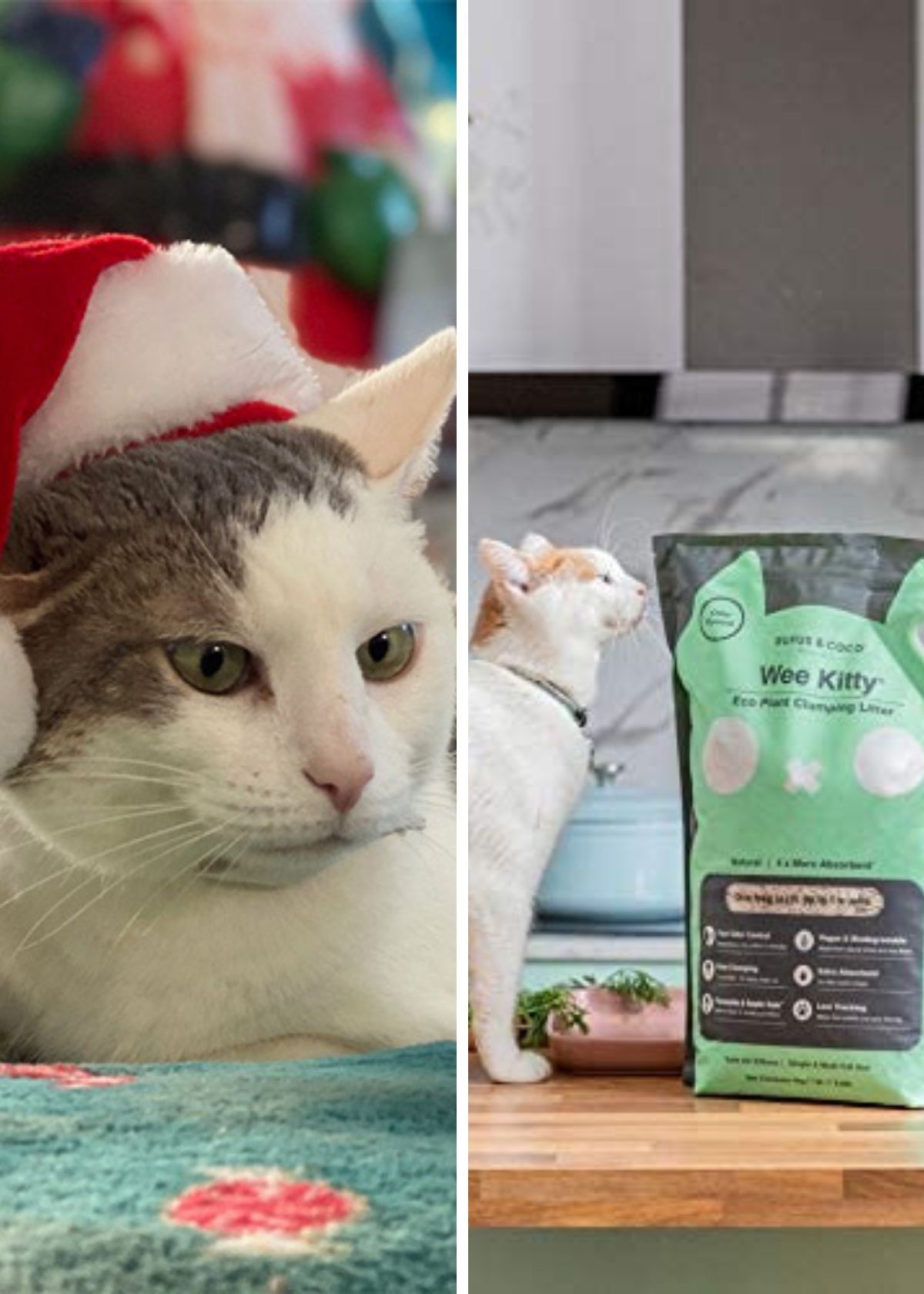 The Purr-fect Tofu Cat Litters You Can Get On Amazon!