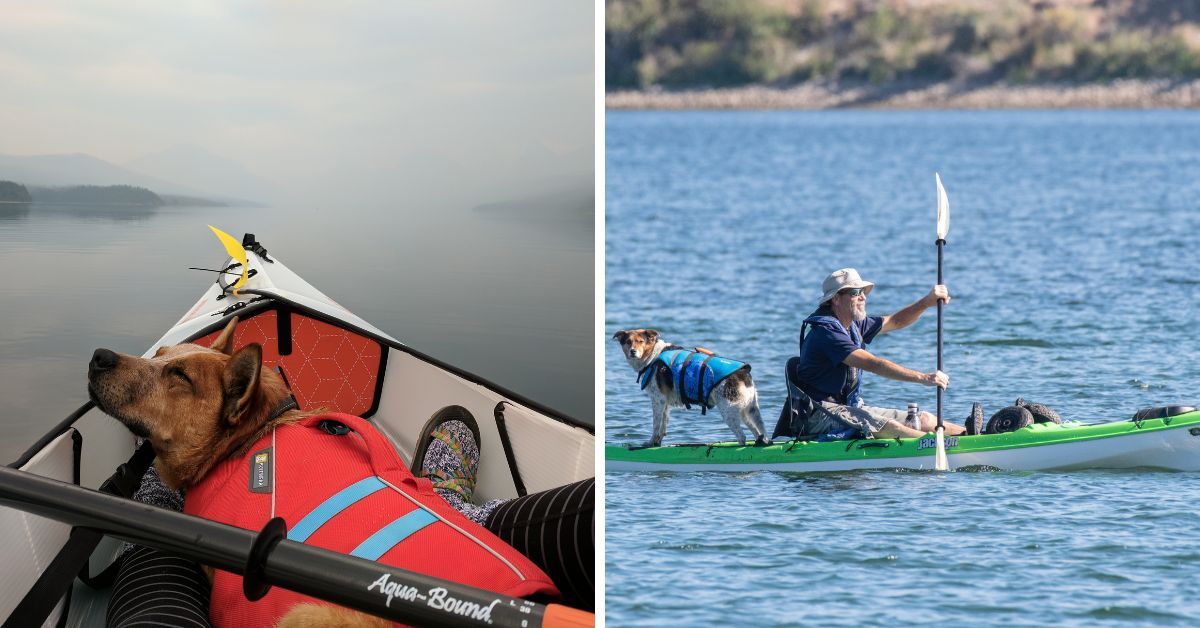 Exploring The Top 5 DogFriendly Kayak Options!
