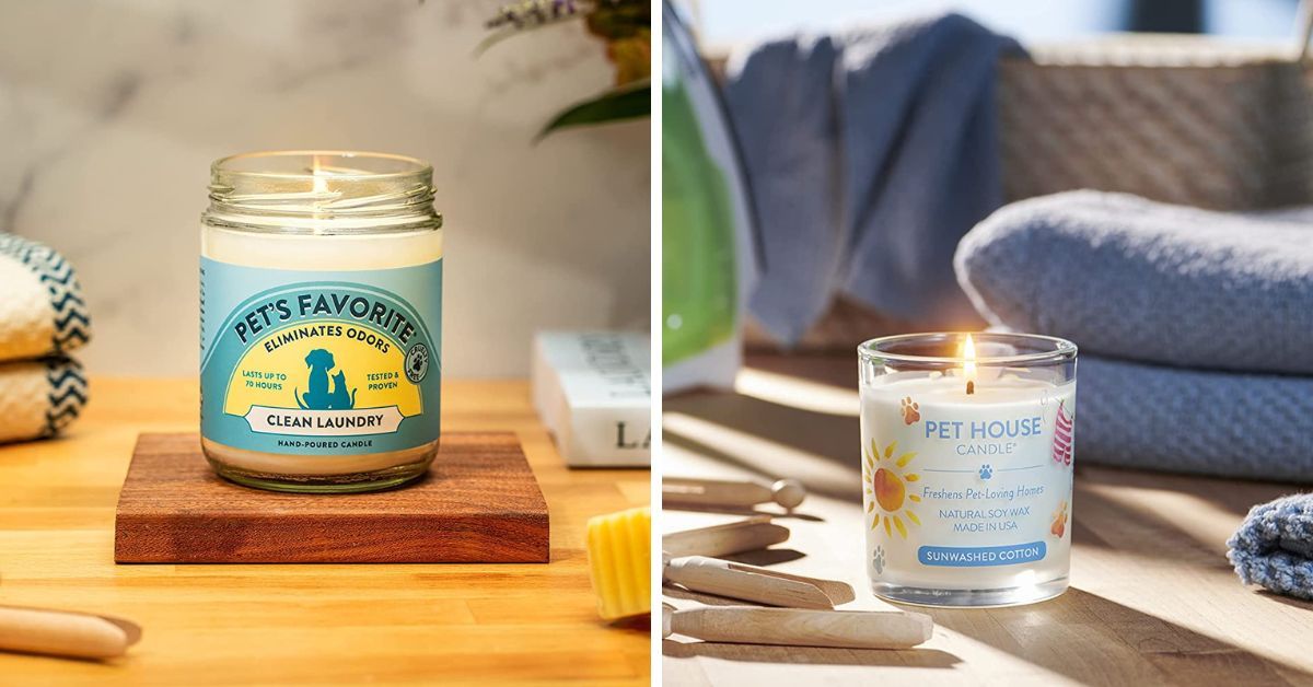 Sniffing Out The 5 Best Pet Odor Eliminator Candles!