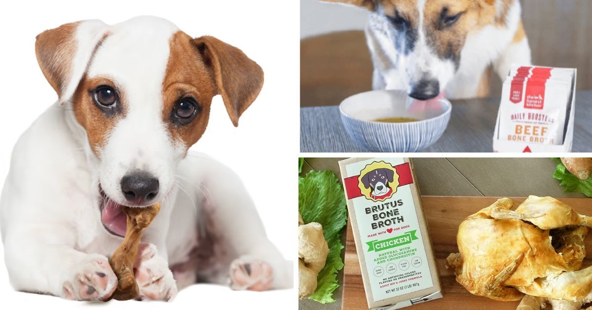 5 MustTry Bone Broths For Your Furry Friend!