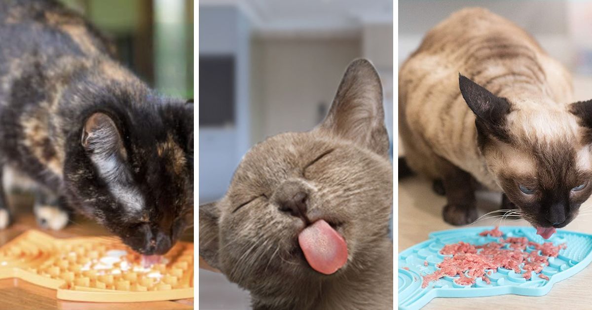 Kitty Approved! The 5 Best Cat Lick Mats!