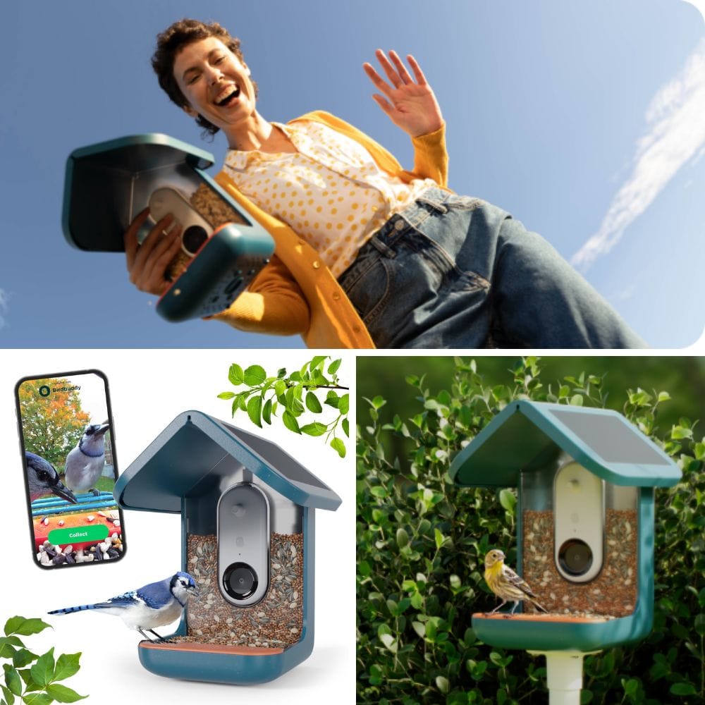 Explore The Top 7 Smart Bird Feeders For Nature Lovers!