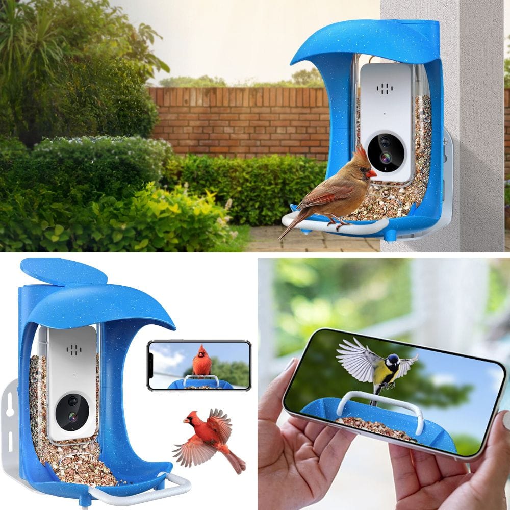 Explore The Top 7 Smart Bird Feeders For Nature Lovers!