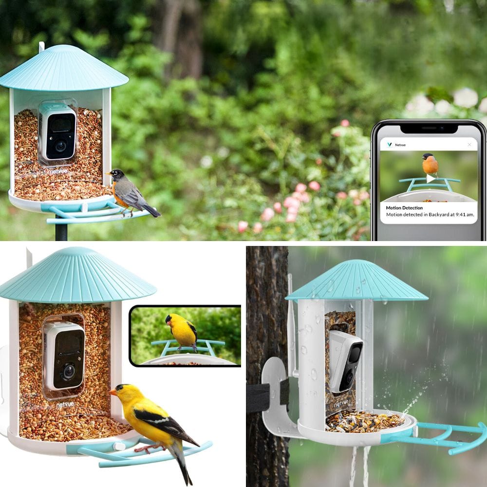 Explore The Top 7 Smart Bird Feeders For Nature Lovers!