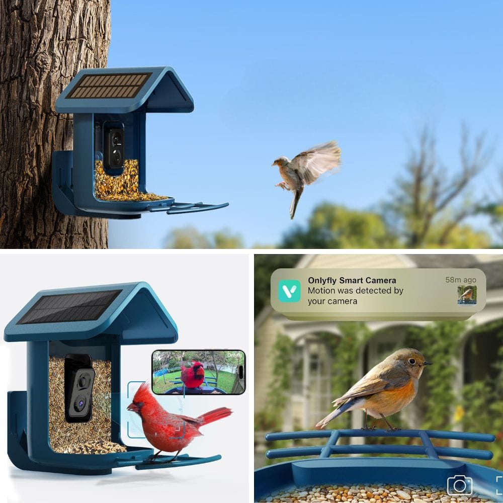 Explore The Top 7 Smart Bird Feeders For Nature Lovers!