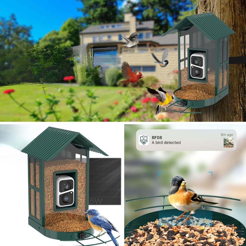 Explore The Top 7 Smart Bird Feeders For Nature Lovers!