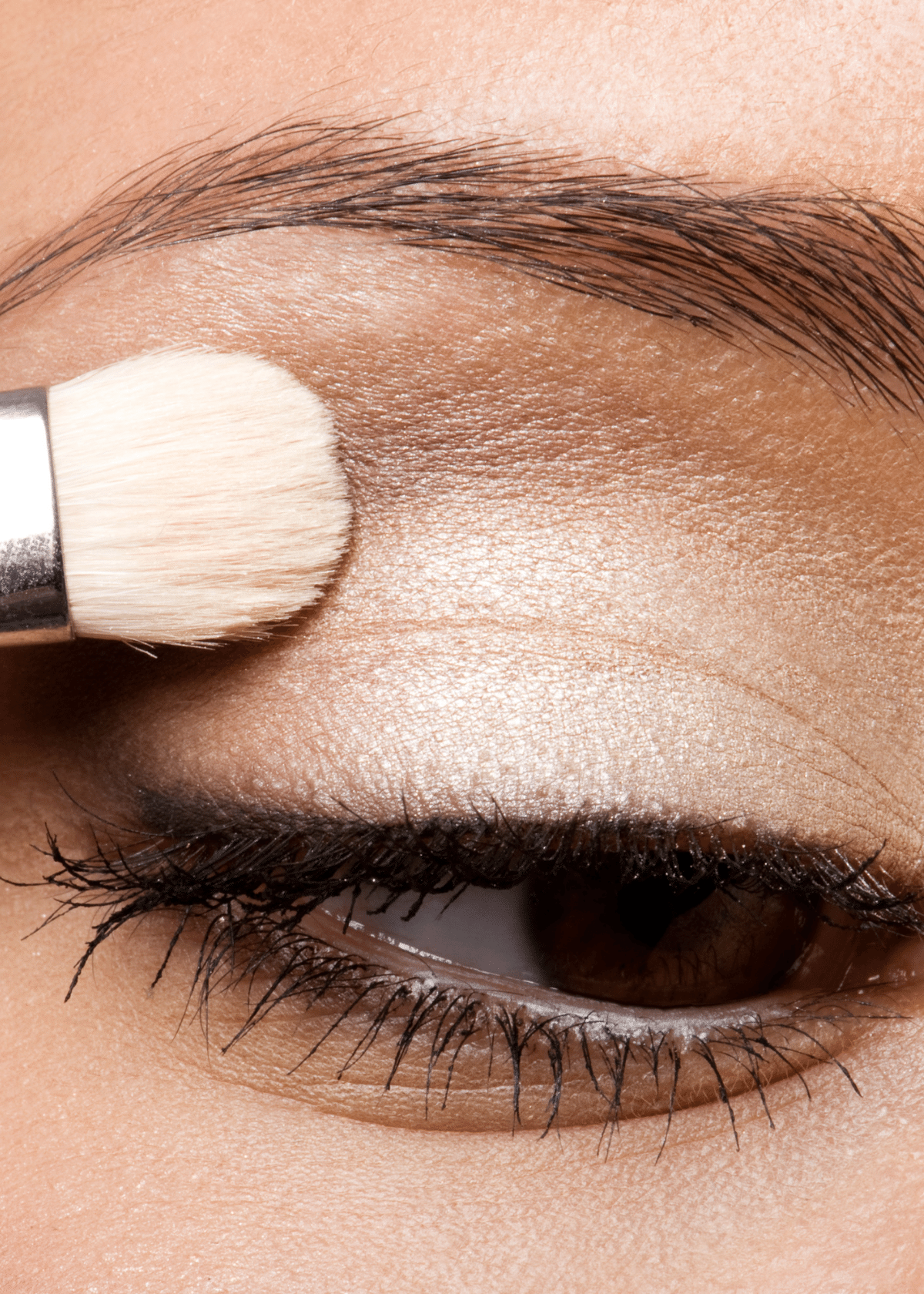 Long Lasting Eyeshadow The Best Eye Primer For Oily Lids