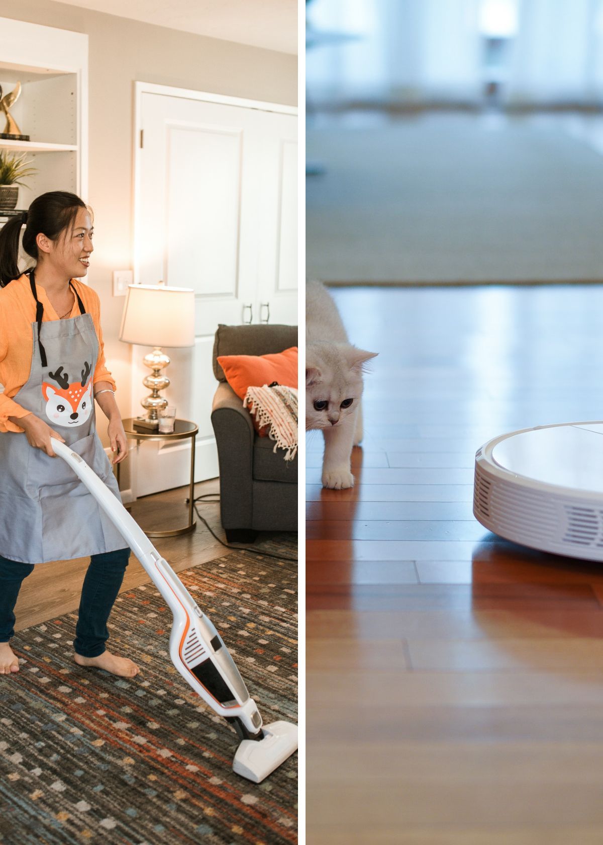 Get A Cleaner Home With The Purrfect Vacuum The Best Vacuums For Cat