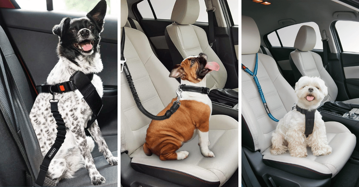 Trap In Your Furry CoPilot The 5 MustHave Dog Seat Belts!