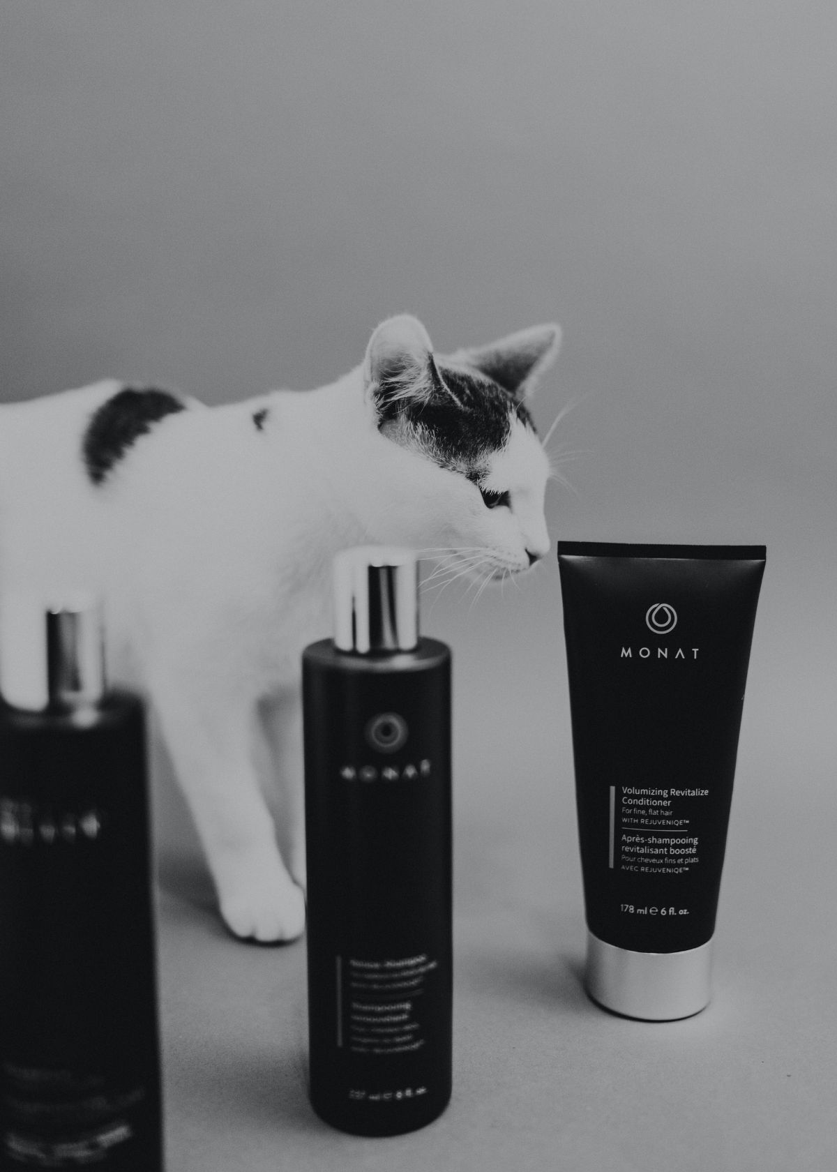 What Shampoo is Purr-fect for Your Cat?
