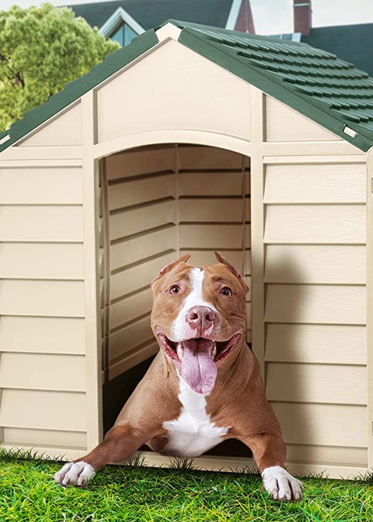 Keeping Your Dog House Cozy in the Winter Months