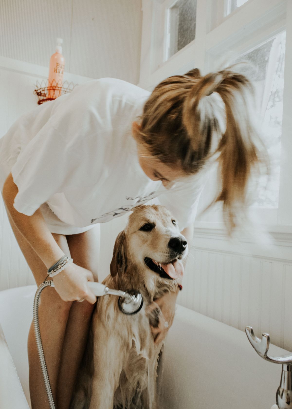 Don’t Let Fleas Take Over – Does Flea Shampoo Work on Dogs?