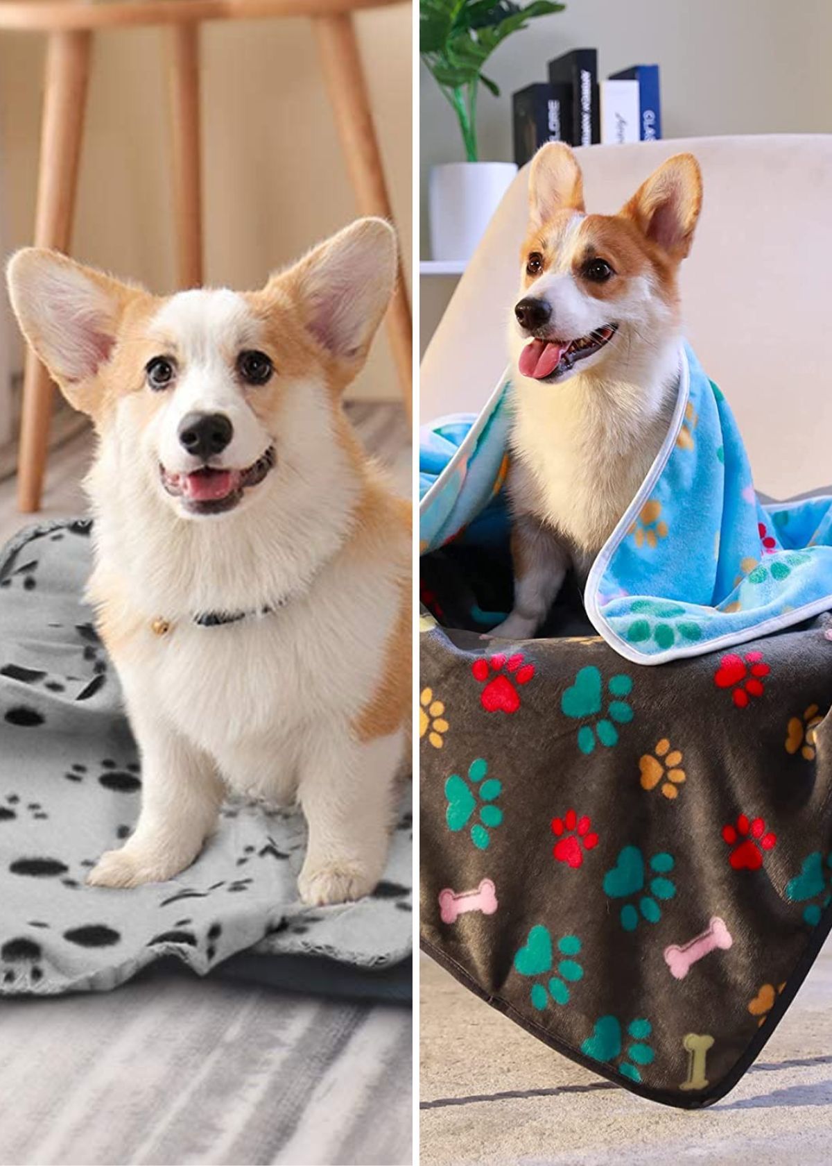 The Best Dog Blankets For Keeping Your Pup Warm And Cozy!