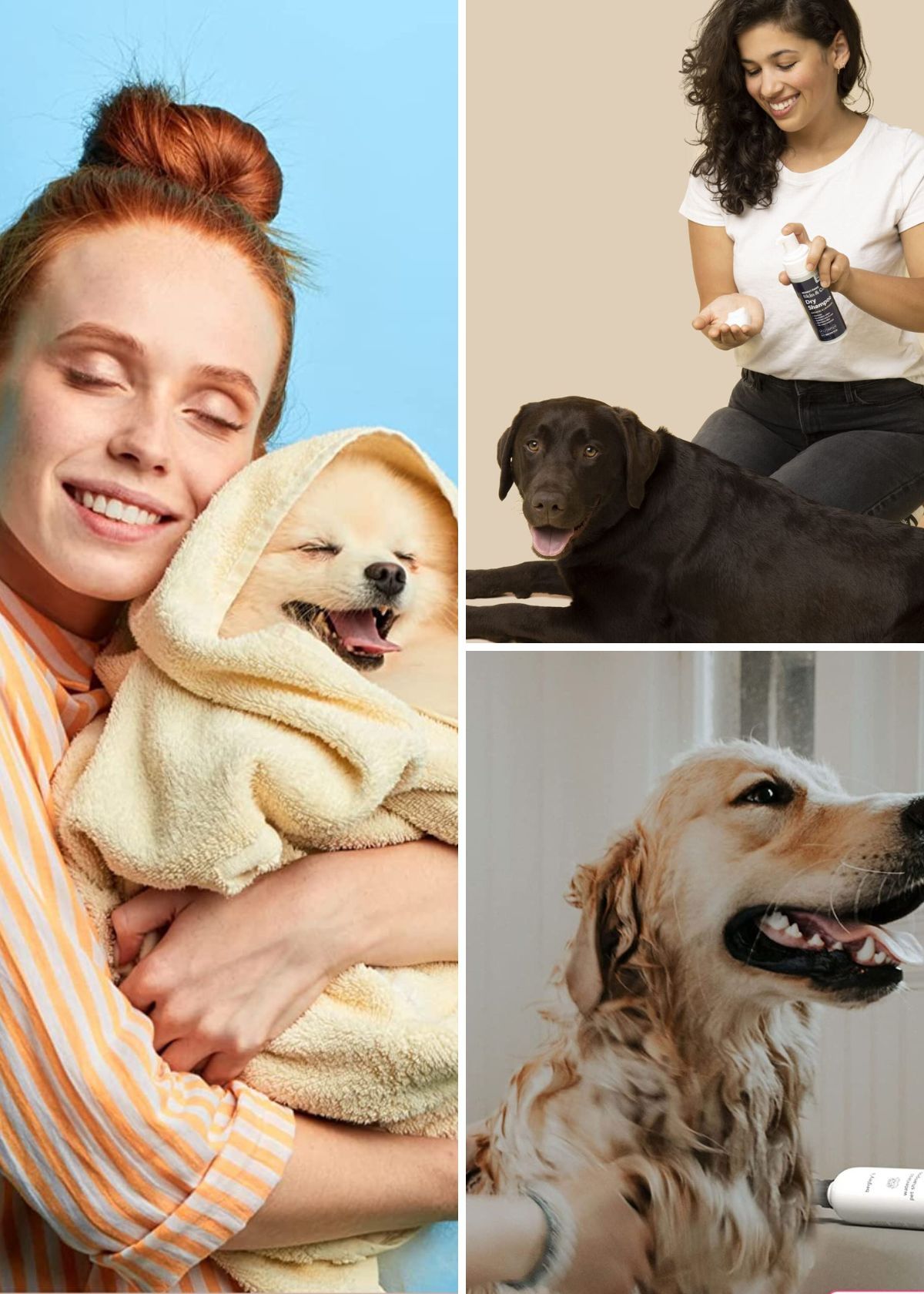 FurTastic Finds The Ultimate List Of Dry Shampoos For Dogs!