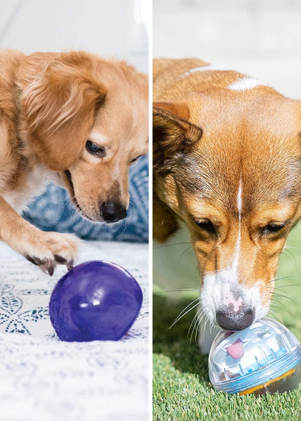 Transform Your Pup's Snack Time With These Genius Treat Dispensers!