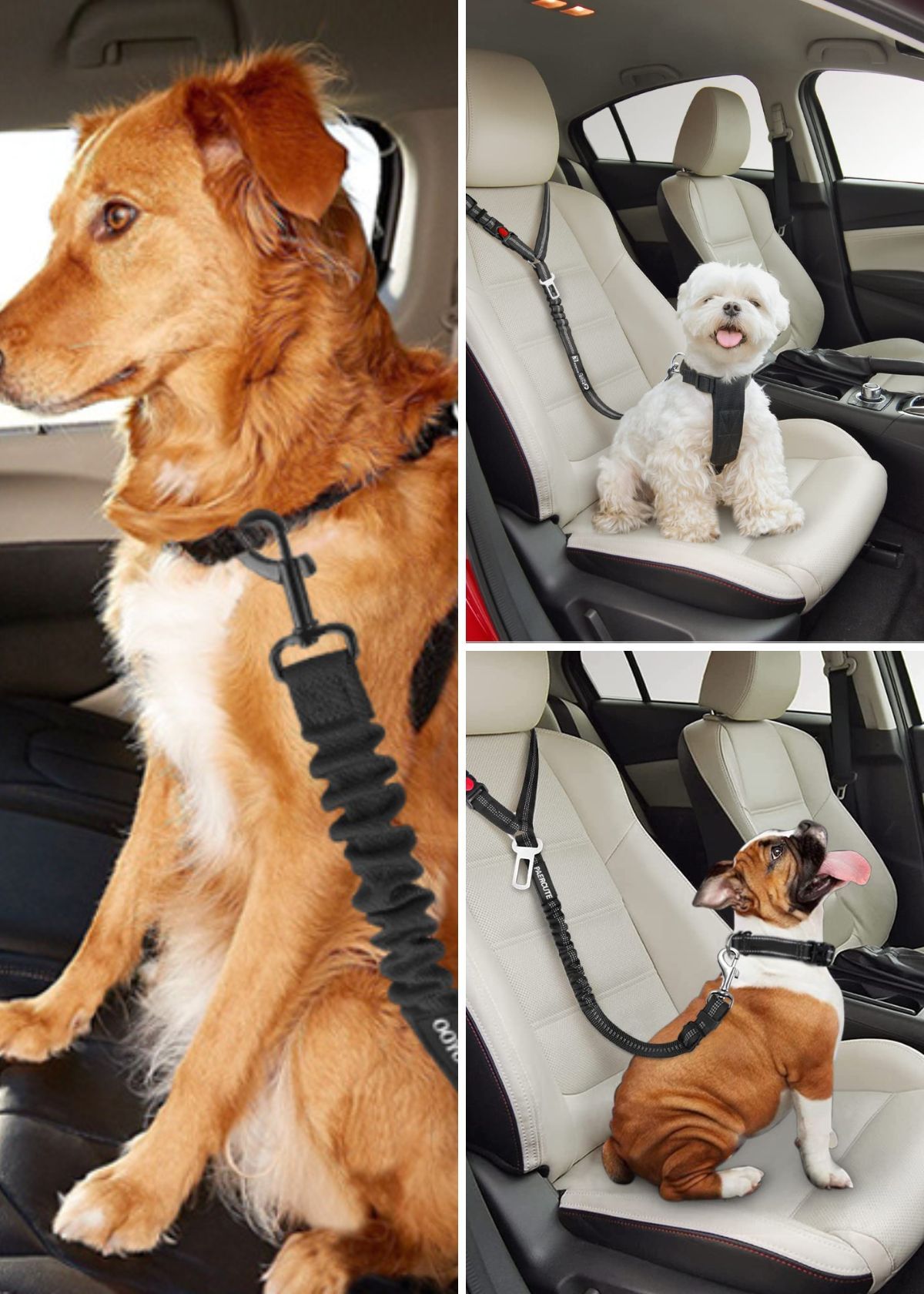 Keep Your Furry Friend Safe On The Road With These Toprated Seat Belts!