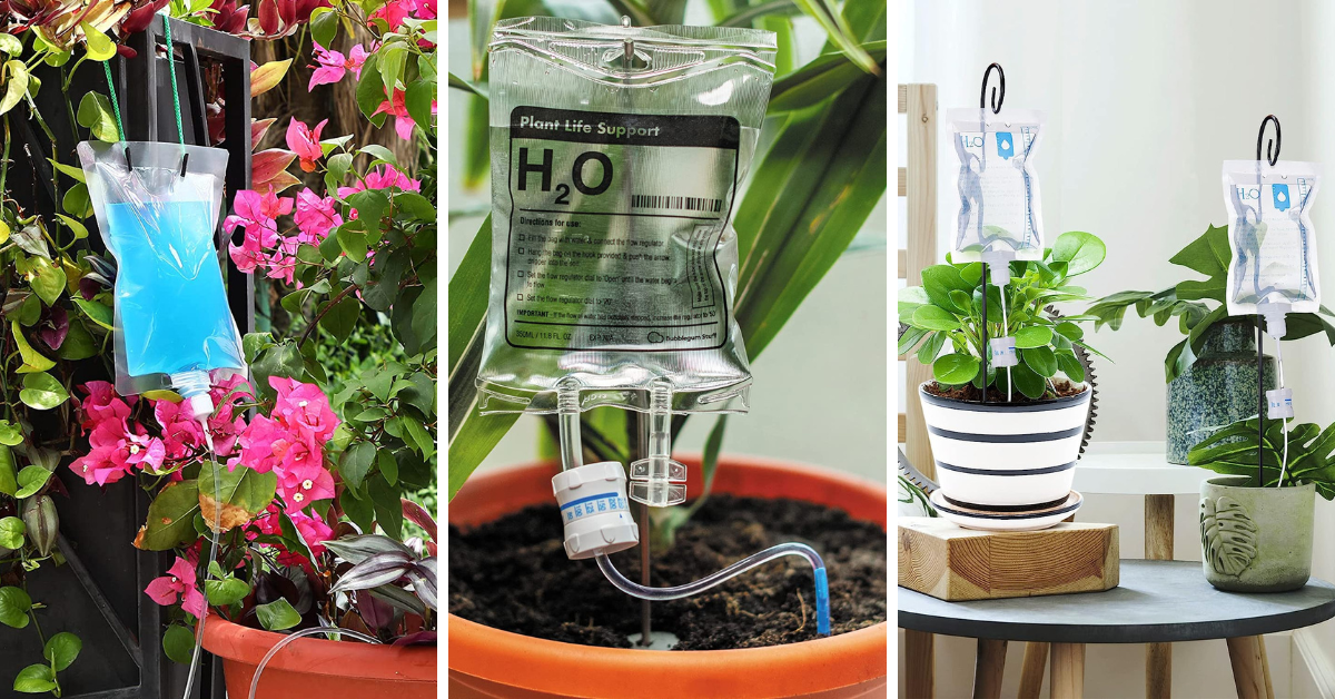 Never Kill A Plant Again With These Life Support Self-Waterers!