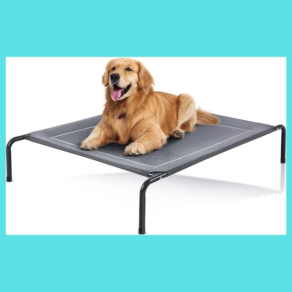 The Best Outdoor Dog Beds To Keep Your Pooch Cozy!