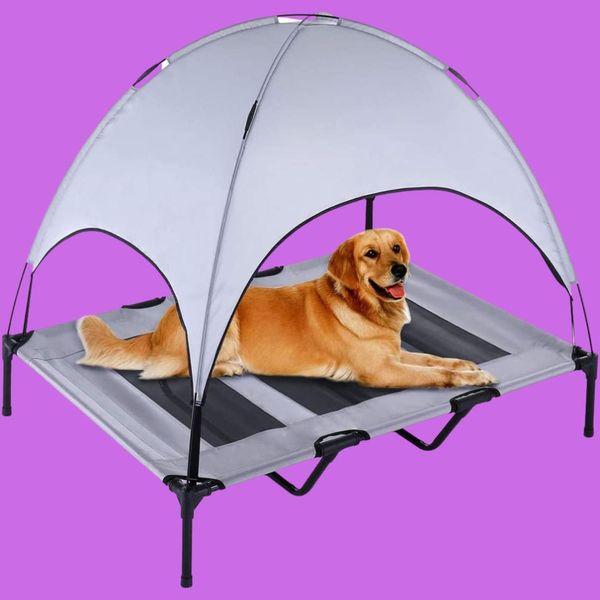 The Best Outdoor Dog Beds To Keep Your Pooch Cozy!