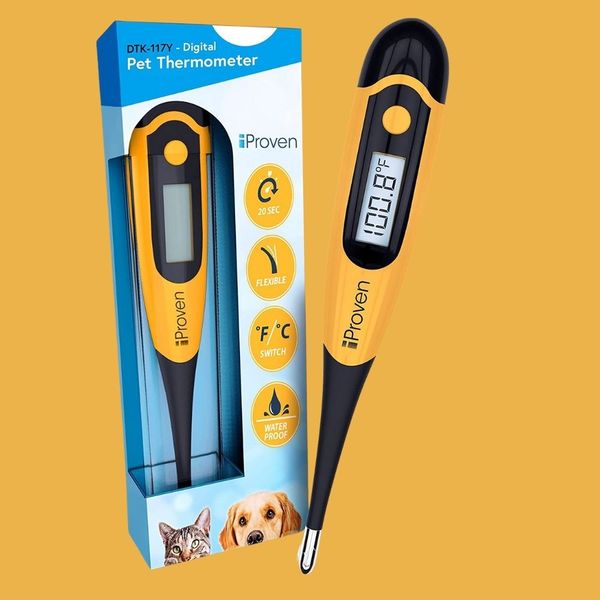 Hot Dog! Discover The Top 5 Thermometers For Your Furry Friend