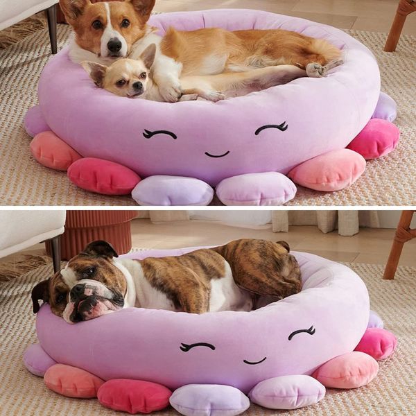 Get Your Furry Friend Comfy With These Top Squishmallow Pet Beds!