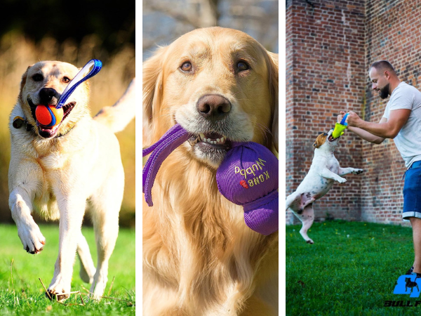 Tug of Woof: Finding the Best Tug Toy For Dogs!