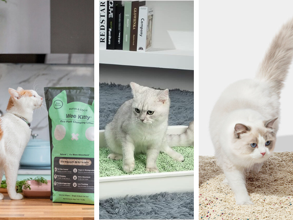 The Purr-fect Tofu Cat Litters Of 2023!