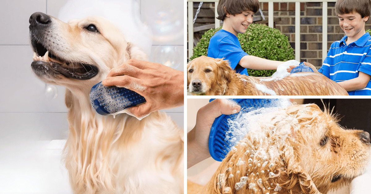 The Top 5 Dog Bath Brushes For A Flawless, Fur-tastic Clean!