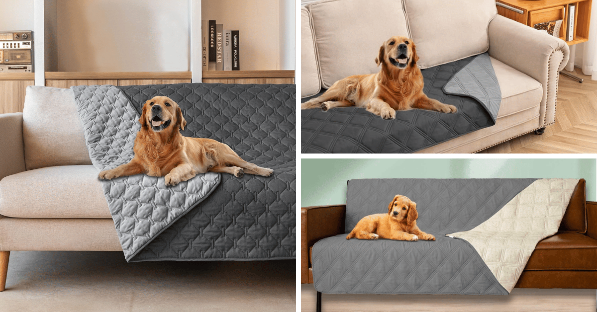 Say Goodbye To Messy Sofas With These Top 5 Dog Covers!