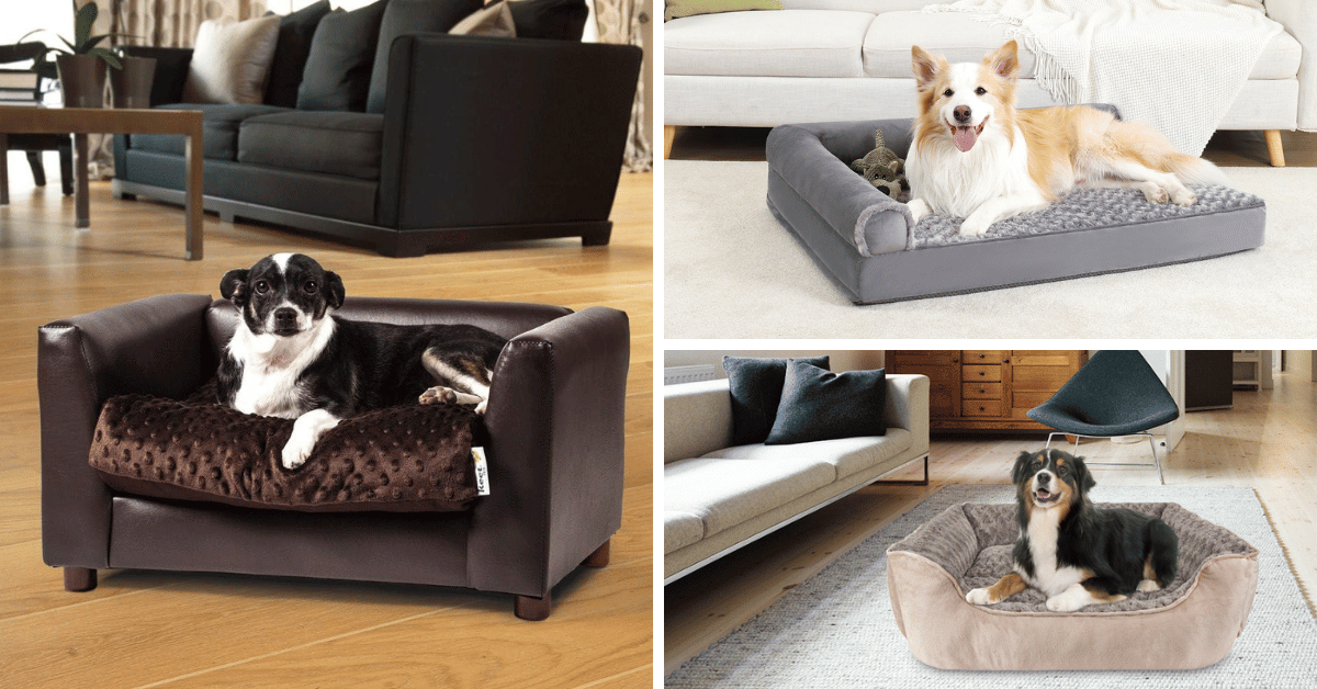 The Top 5 Dog Sofas Your Pup Will Adore!