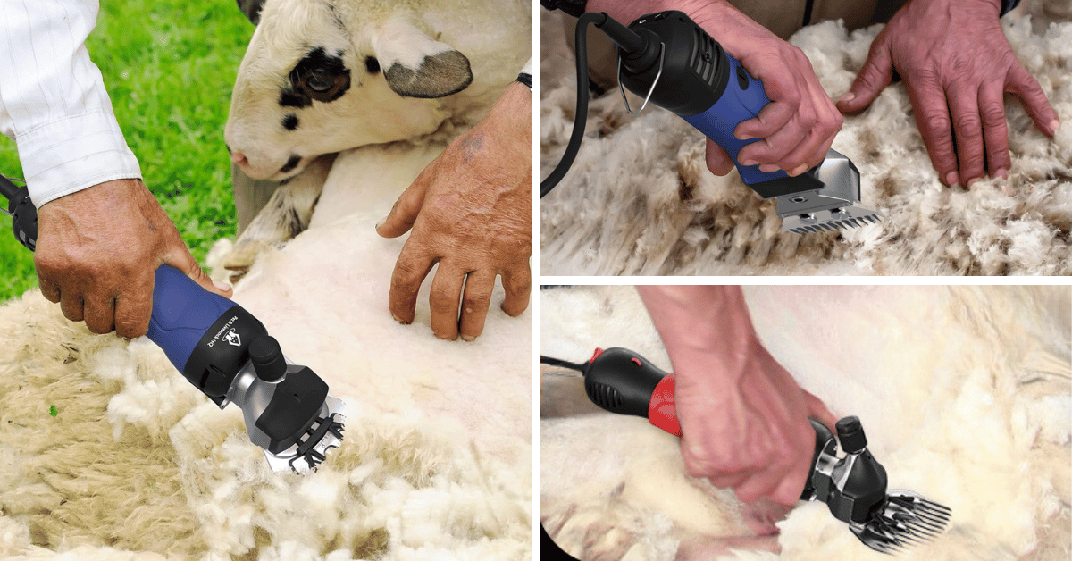 Wool You Believe It? The 5 Finest Sheep Shears Revealed!