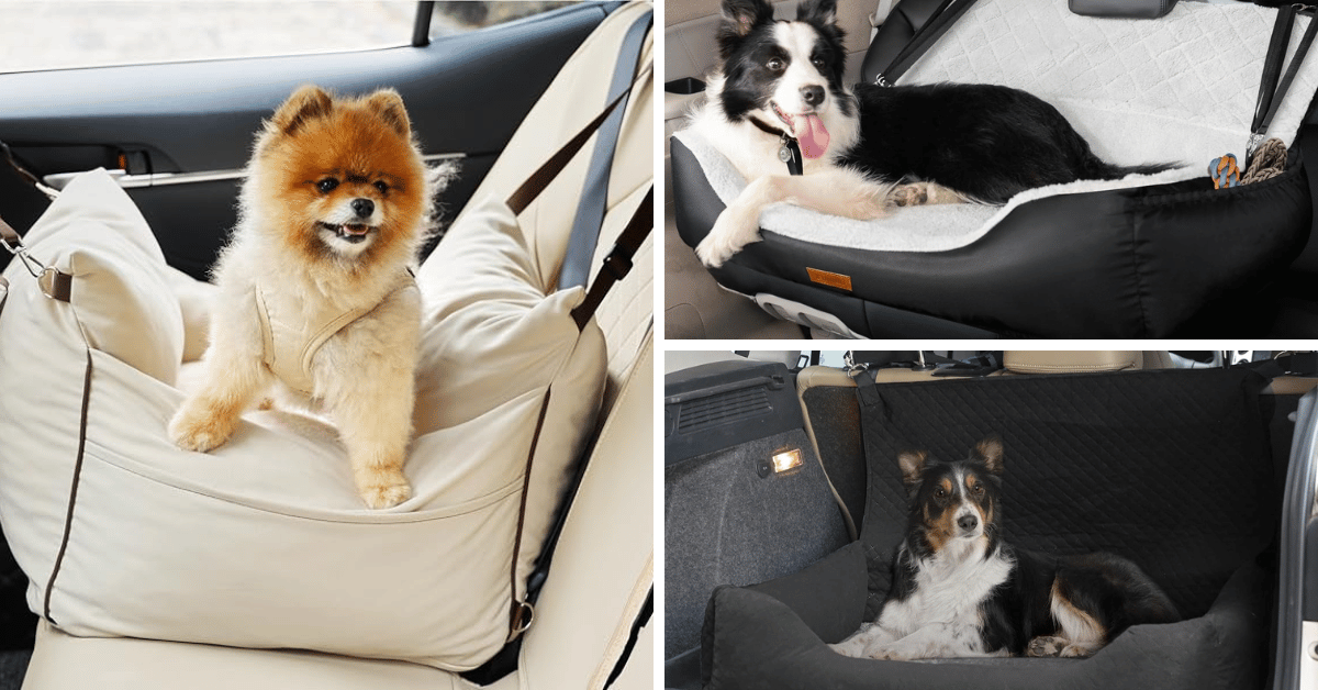 Ultimate Comfort on the Go: Top 5 Dog Car Beds
