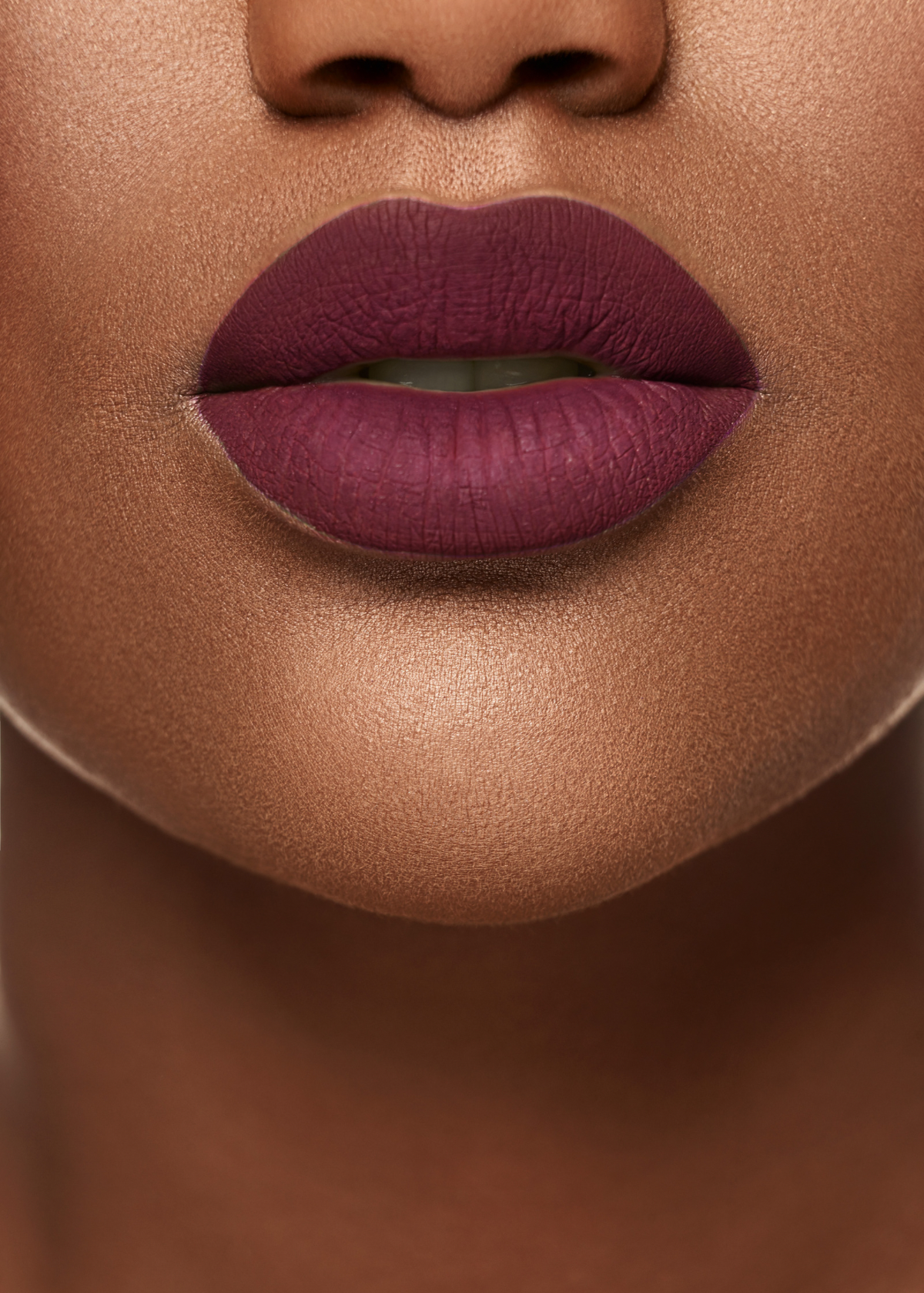 Perfect For Fall The Best Mauve Lipstick