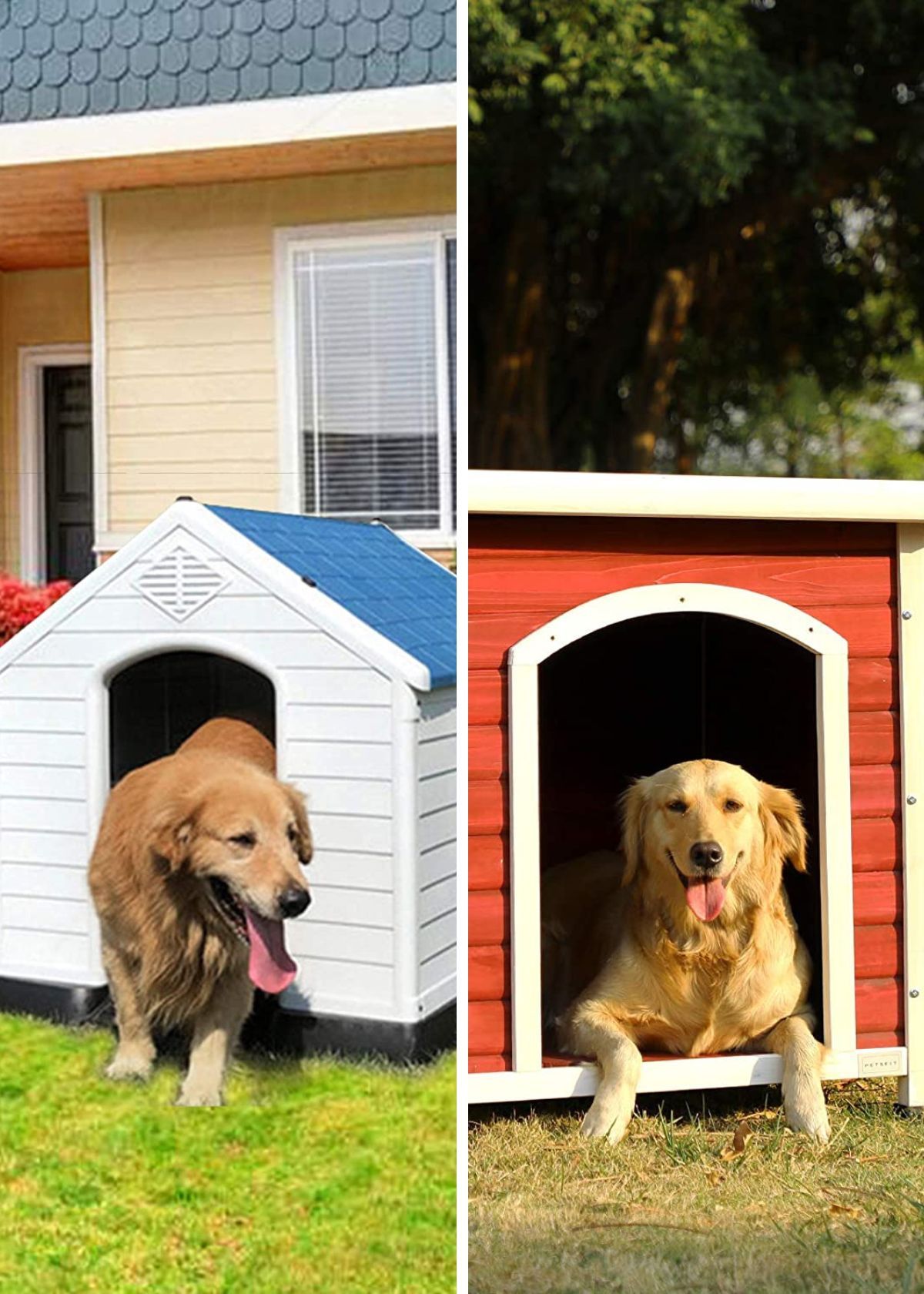 The Most Pawesome Outdoor Dog Houses For Your Furry Friend!